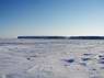 arctic